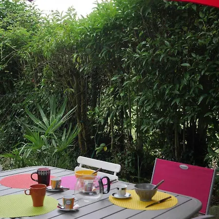 Les Platanes * Aignes