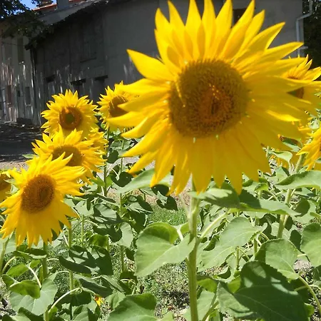 Les Platanes Сasa de vacaciones Aignes