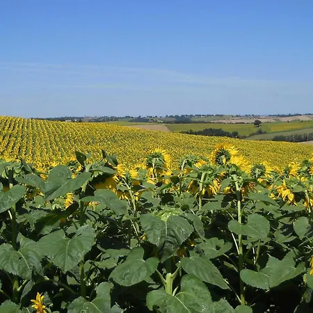 Dom wakacyjny Les Platanes *